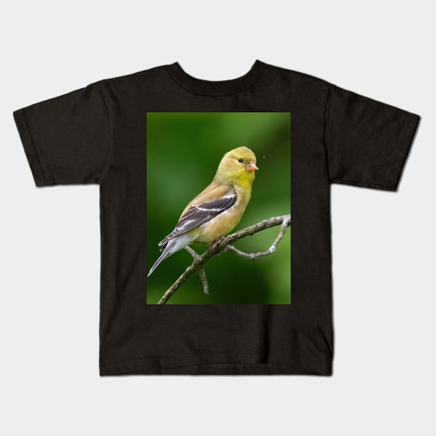 American Goldfinch on a beautiful Spring Day Kids T-Shirt by BirdsnStuff